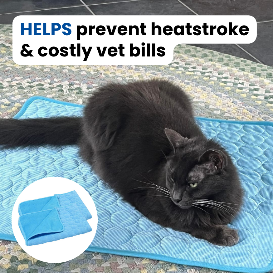 Kittra™ Cooling Mat For Cats